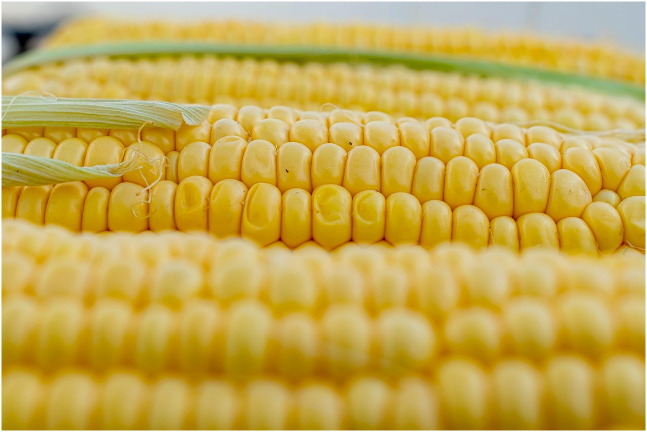 corn, corn on the cob, corn kernels, yellow, grill, vegetables, flora, sweet corn, nourishment, meal, close up, structure, texture, corn, corn, corn, corn, corn