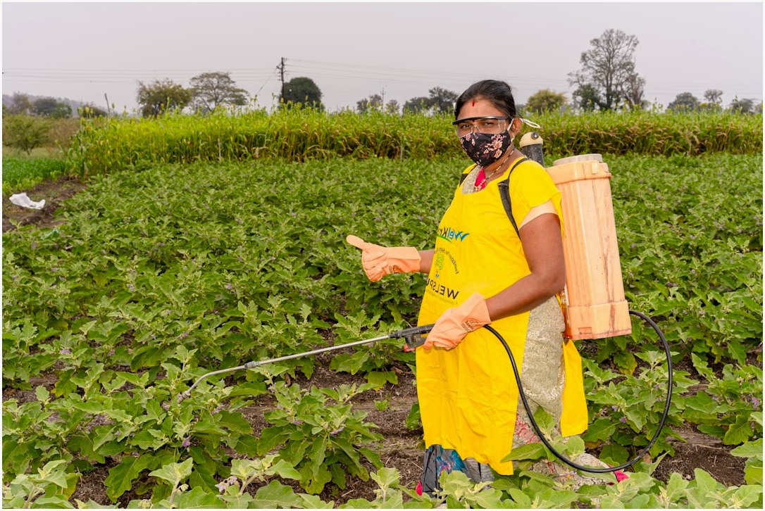 a person in a field with a sprayer