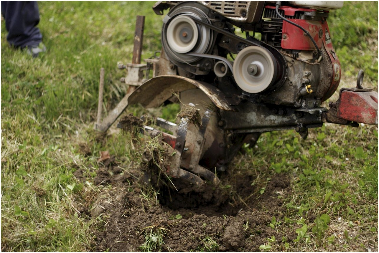 motocultivator, engine, little, agricultural, device, driving, equipment, farm, garden, gear, job, land, motocultivator, motocultivator, motocultivator, motocultivator, motocultivator