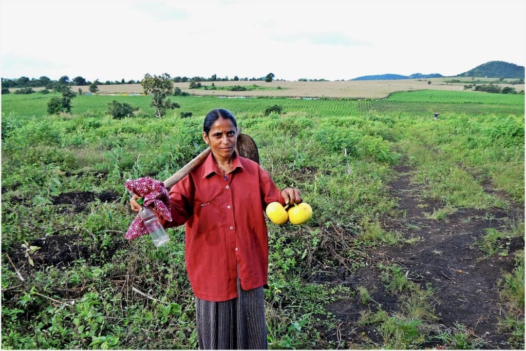 Melhor motocultivador para agricultura familiar: potência que dá conta de verdade