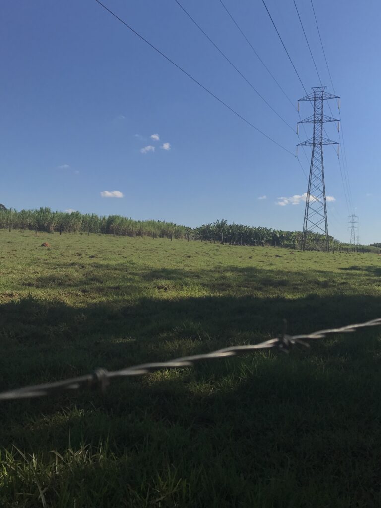 Área produtiva com lavoura, pasto e rede elétrica em assentamento rural de Sumaré, São Paulo