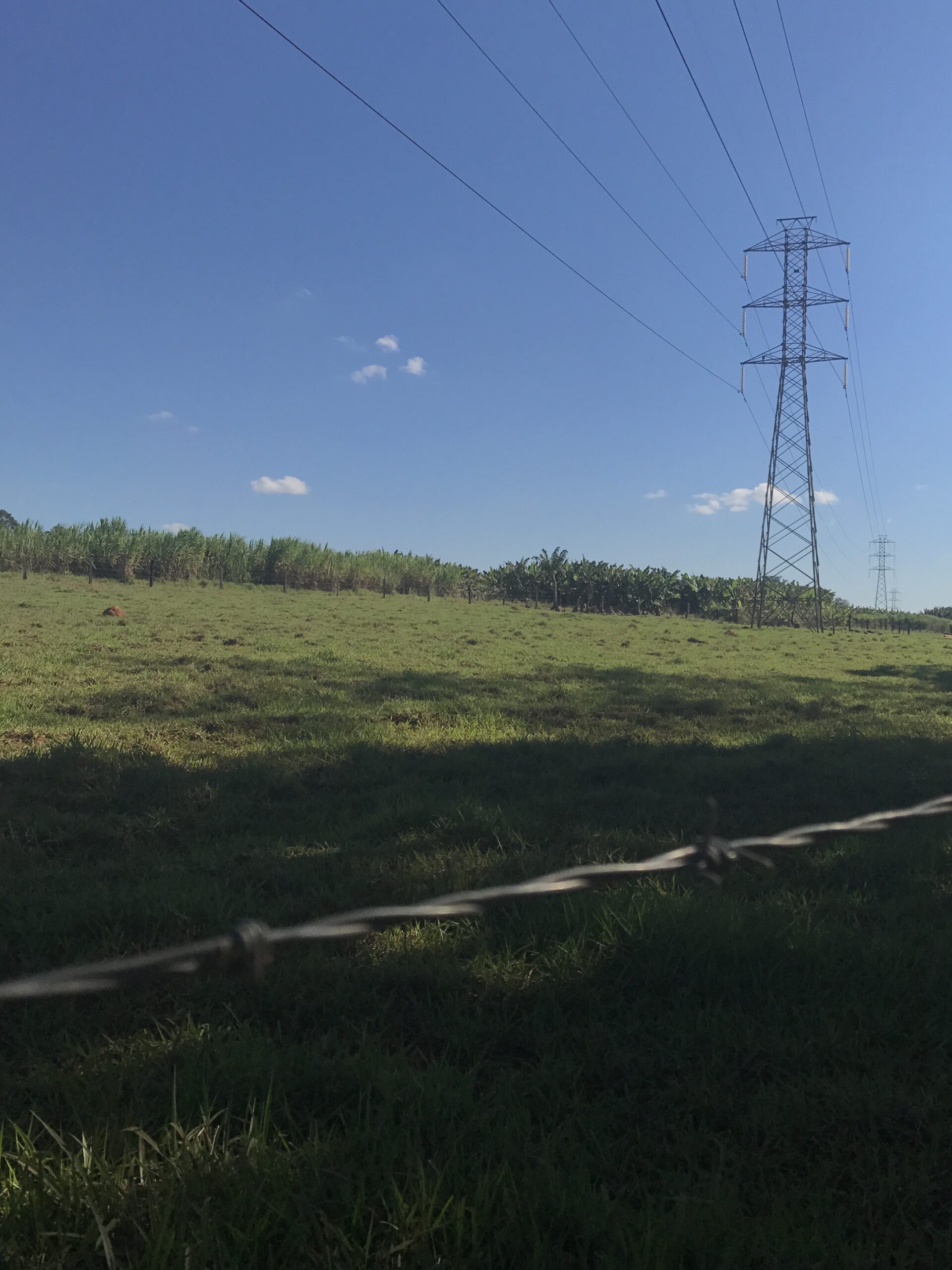 Área produtiva com lavoura, pasto e rede elétrica em assentamento rural de Sumaré, São Paulo