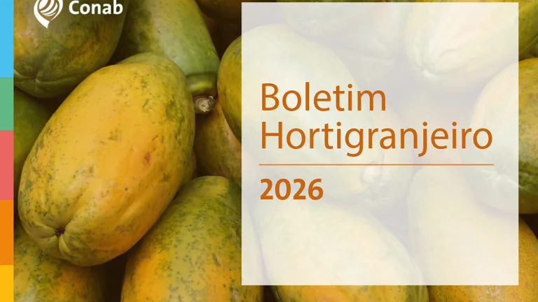 Capa do 8º Boletim Hortigranjeiro da Conab, edição 2026