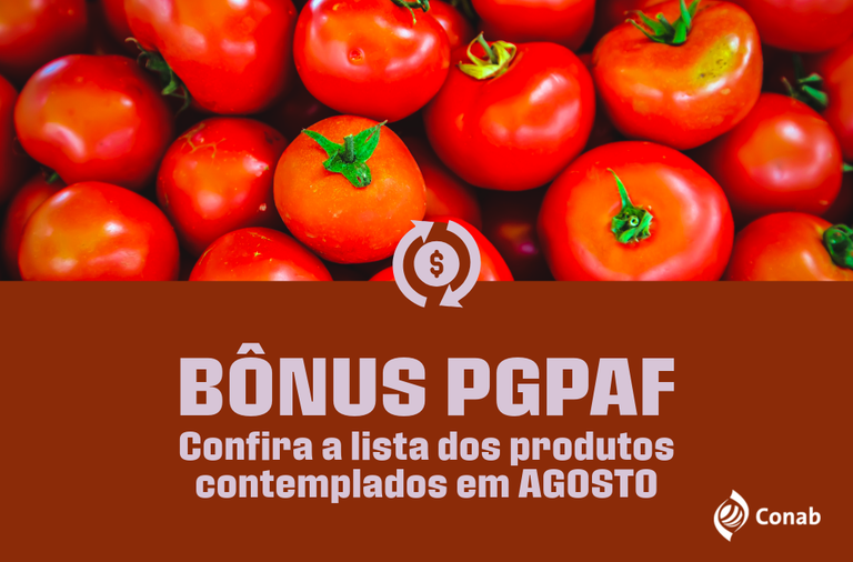 Arte da Conab sobre o bônus do PGPAF de agosto de 2026