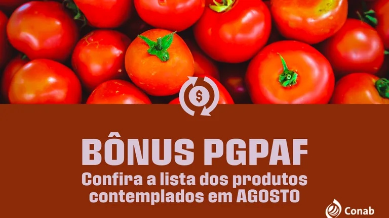 Arte da Conab sobre o bônus do PGPAF para produtos contemplados em agosto, com tomates e indicação do programa