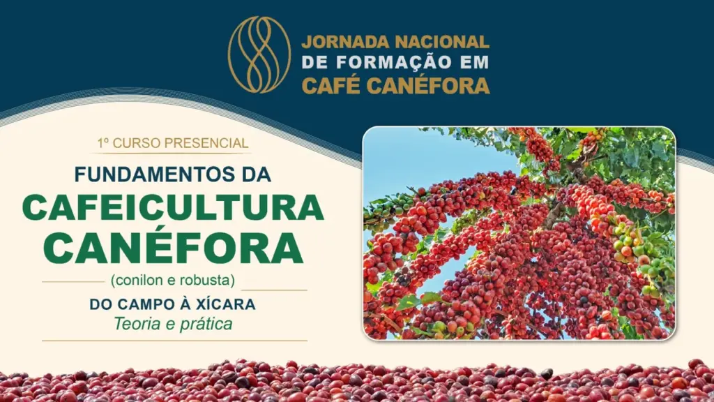 Arte da Jornada Nacional de Formação em Café Canéfora, com frutos de café conilon e robusta