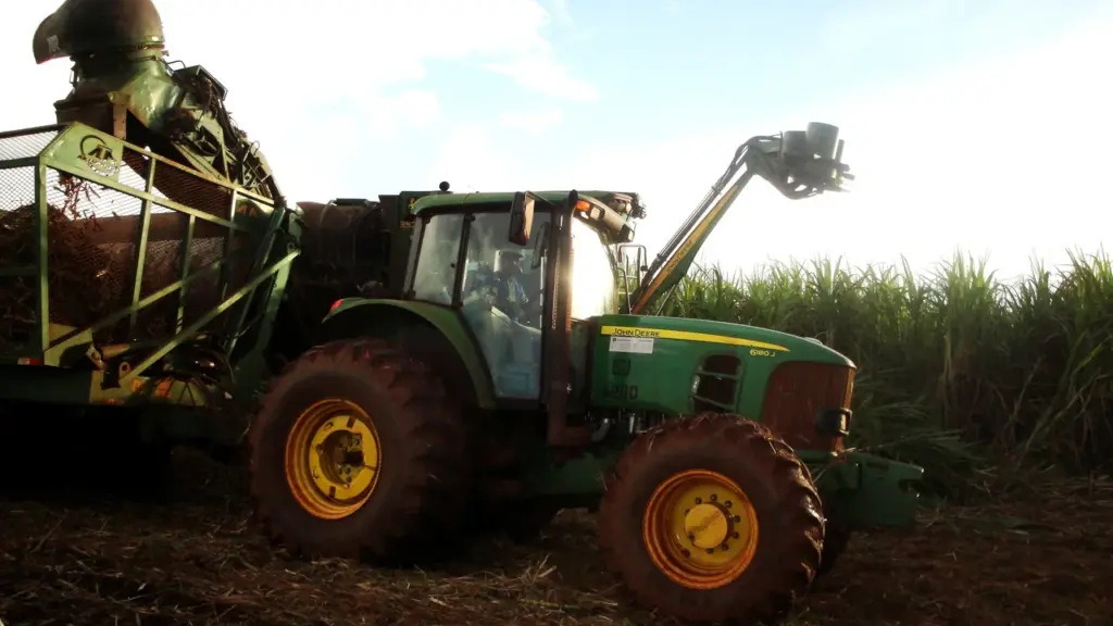 Máquina trabalhando na colheita mecanizada de cana-de-açúcar