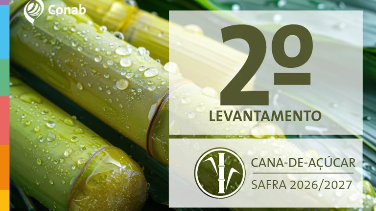 Arte da Conab sobre o segundo levantamento da safra de cana-de-açúcar 2026/2027