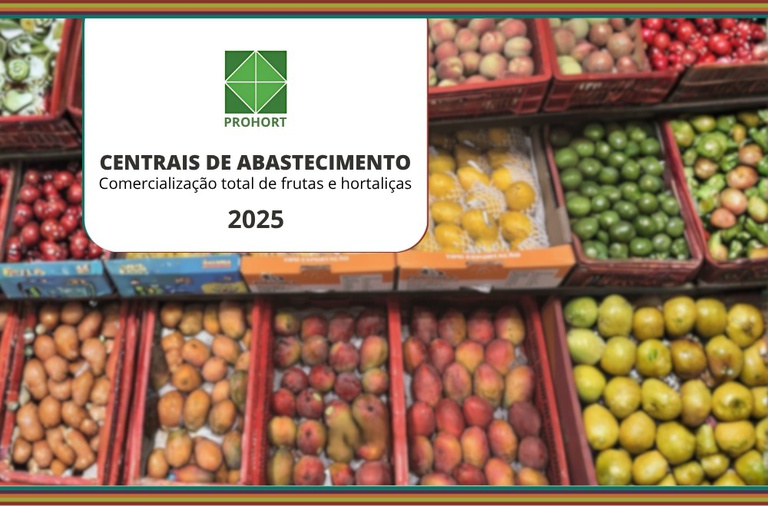 Caixas de frutas e hortaliças ilustram o levantamento de comercialização das Ceasas em 2025