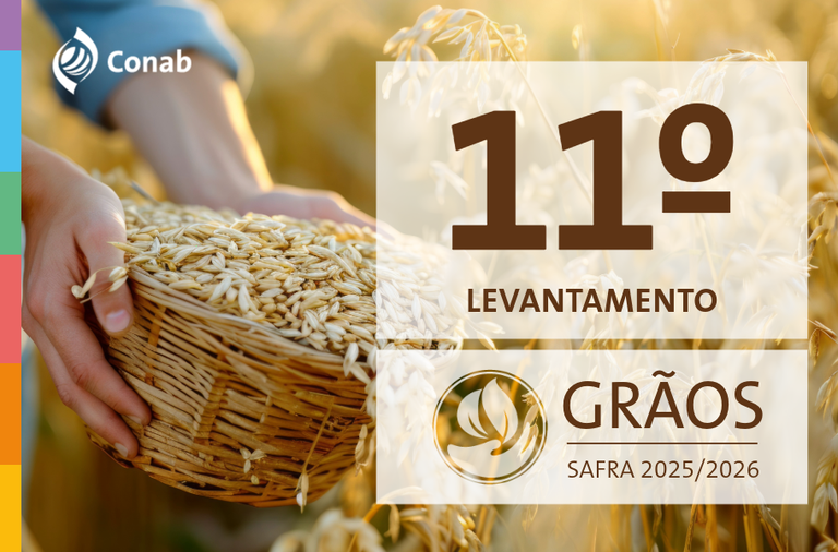 Arte da Conab para o 11º Levantamento da Safra de Grãos 2025/2026