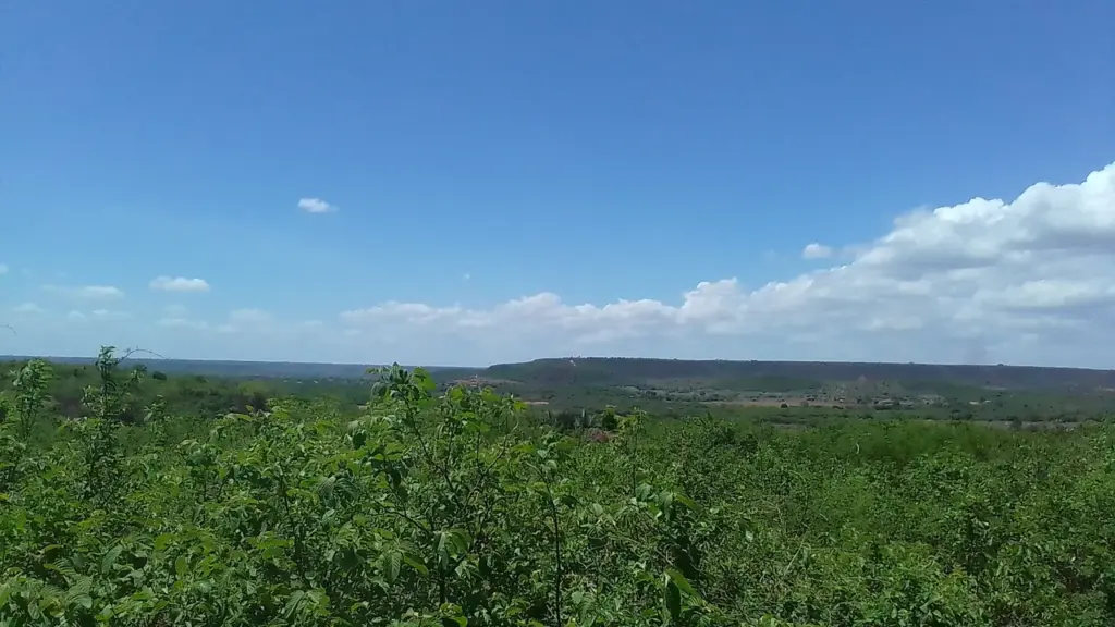 Paisagem de Caatinga verde após as chuvas no Sertão nordestino