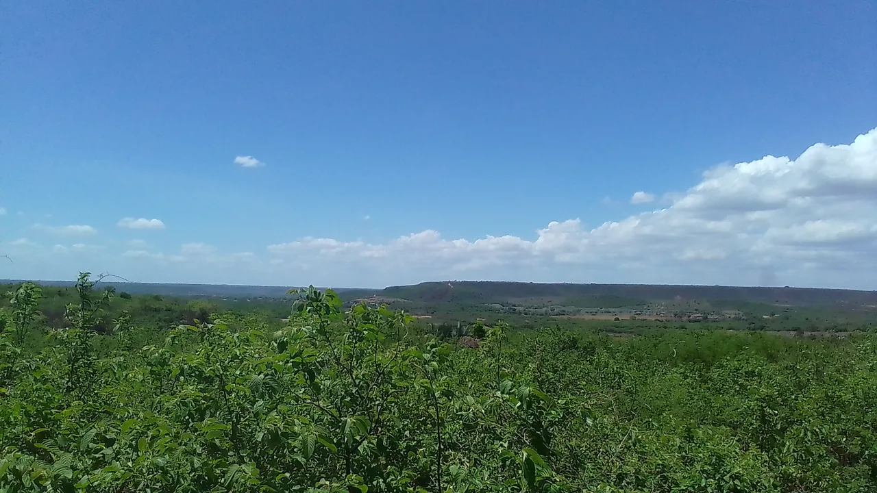 Paisagem de Caatinga verde após as chuvas no Sertão nordestino