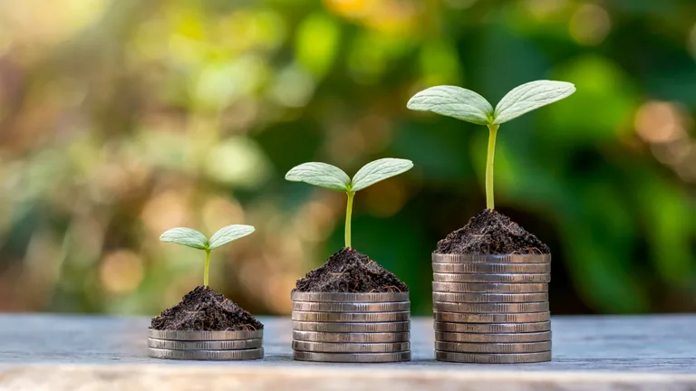 Moedas com mudas de plantas em crescimento, imagem contextual sobre crédito no agronegócio