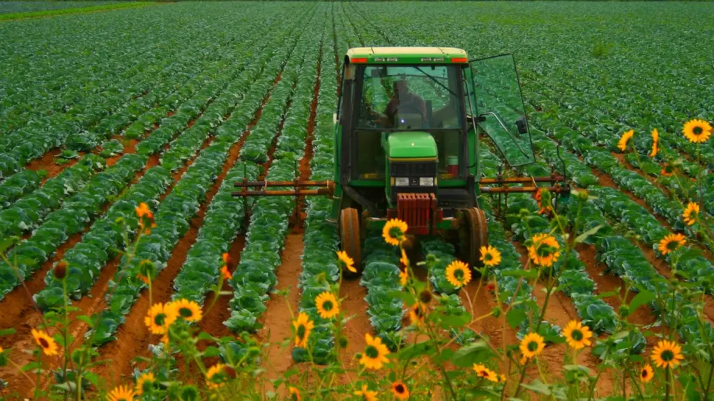 Trator trabalhando entre linhas de hortaliças, em imagem contextual sobre investimento rural