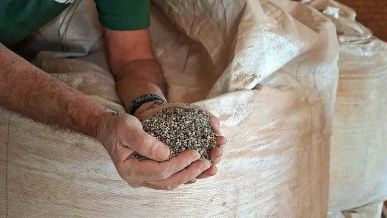 Fiscalização manuseia grânulos de fertilizante em sacos durante operação oficial