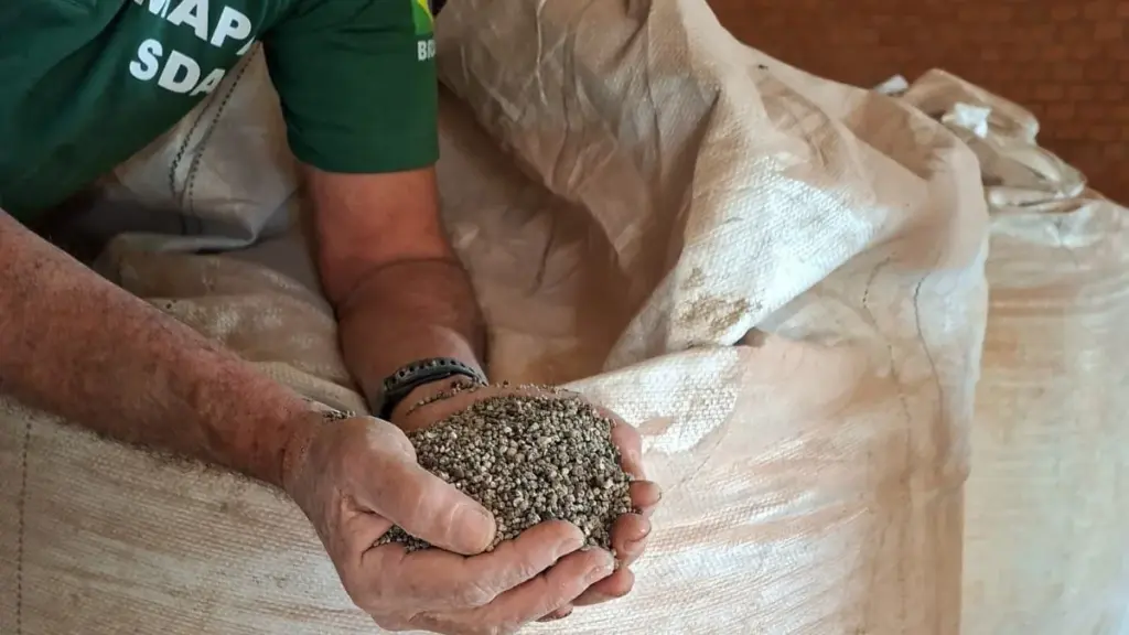 Fiscal do Mapa verifica fertilizante granulado em sacarias durante fiscalização