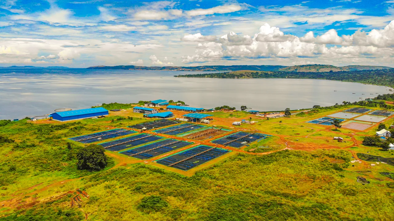 Estrutura de produção aquícola com tanques e instalações às margens de um reservatório