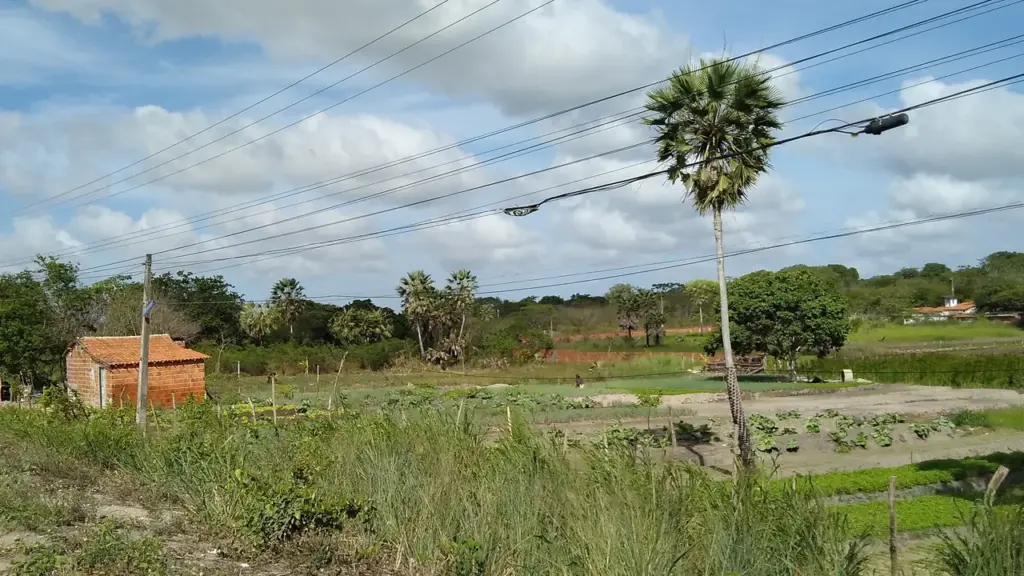 Horta em pequena propriedade de Aquiraz, no Ceará, em imagem contextual sobre pesquisa e inovação agrícola