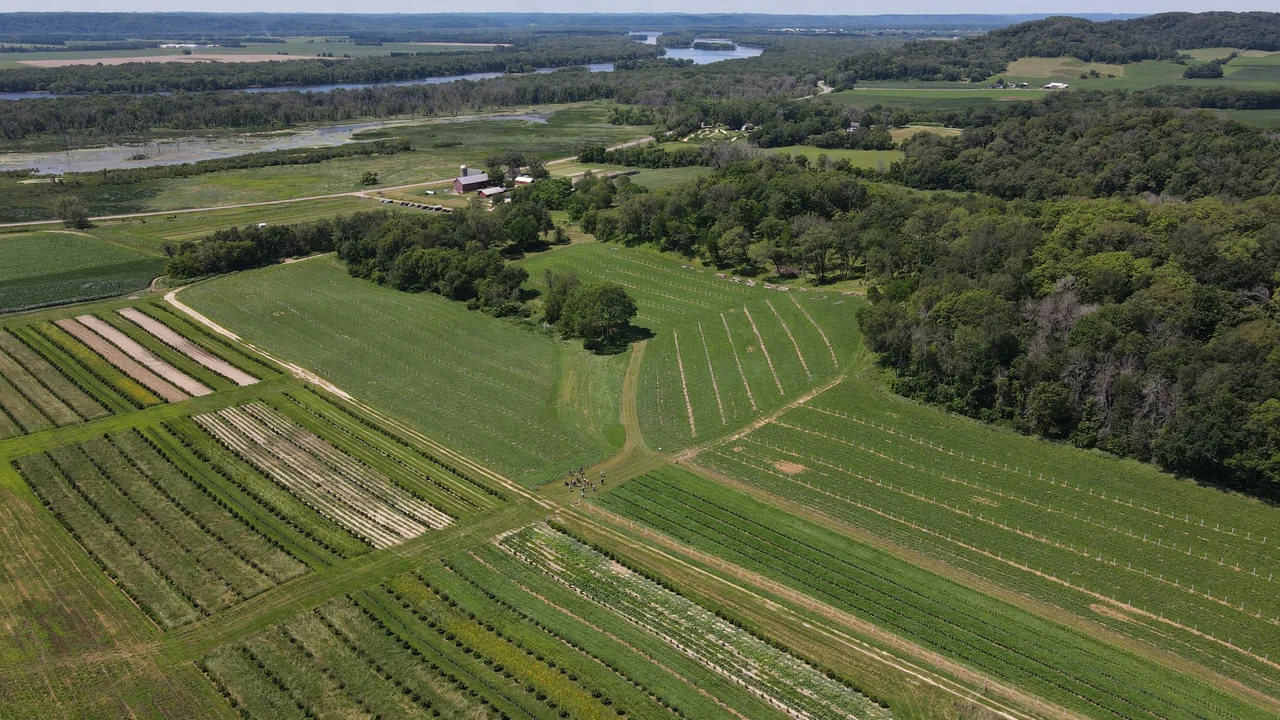 Lavoura em faixas com árvores e área rural vista de cima, imagem contextual para ILPF