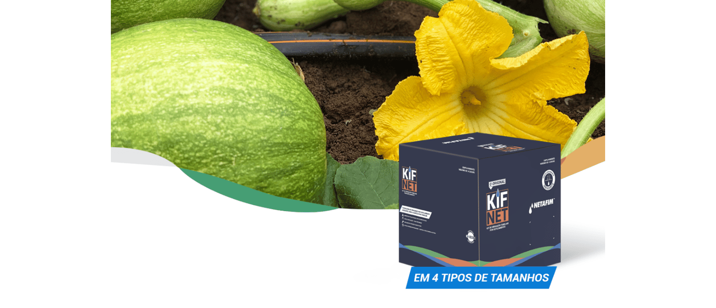 Caixa do kit KifNet ao lado de linha de gotejamento em plantação de abóbora
