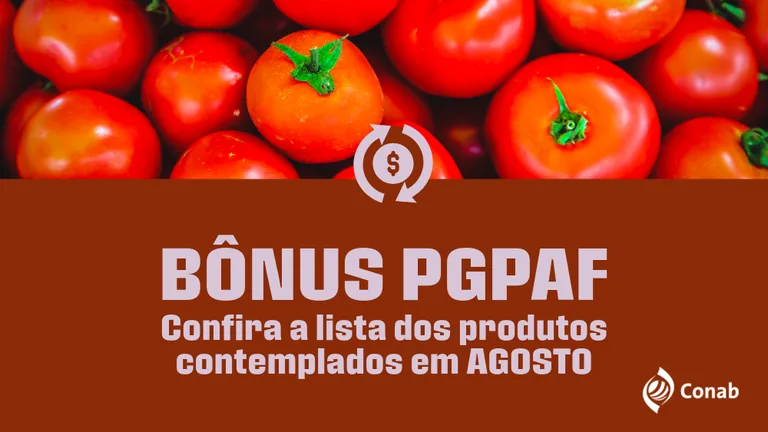 Arte da Conab sobre o bônus do PGPAF para produtos contemplados em agosto, com tomates e o logotipo do programa