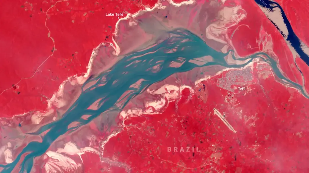 Imagem de satélite mostra o Lago Tefé e áreas expostas pela seca na Amazônia
