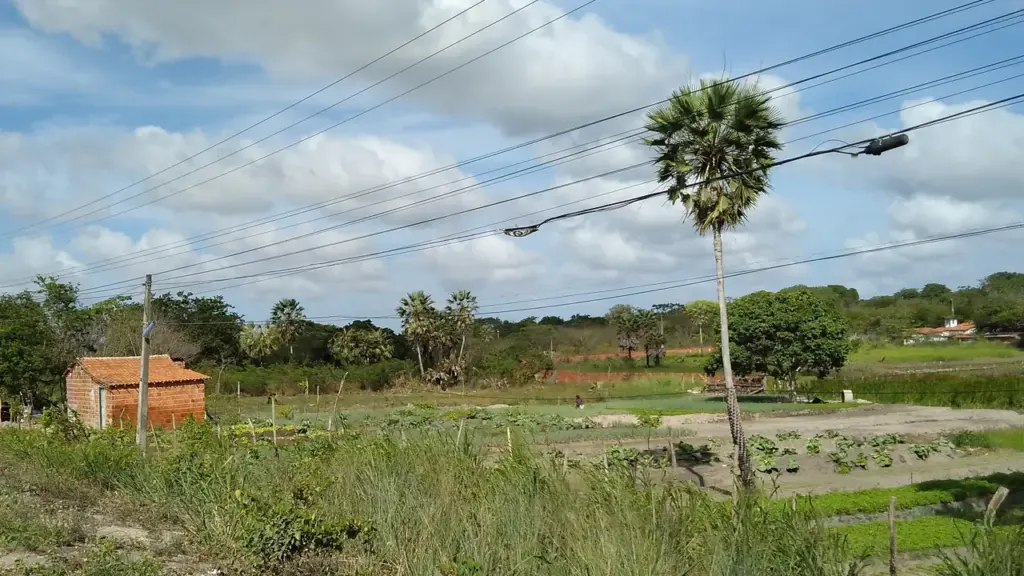 Pequena área cultivada em propriedade rural, imagem contextual sobre sistemas agrícolas tradicionais