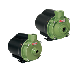Duas motobombas centrífugas da linha Schneider BCR com corpo verde e motor sob capa preta