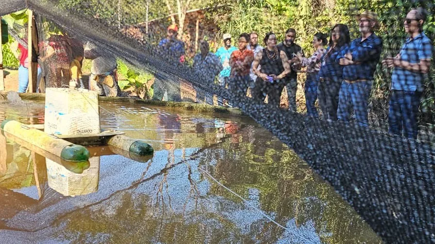 Tanque de piscicultura do Sistema Appia durante visita técnica em unidade rural
