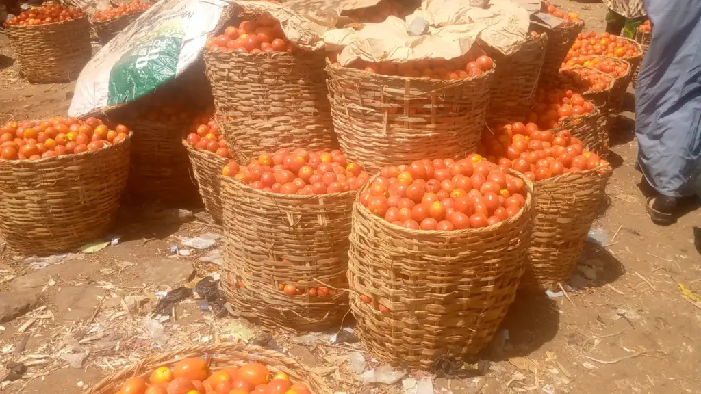 Tomates em cestos em uma feira de alimentos