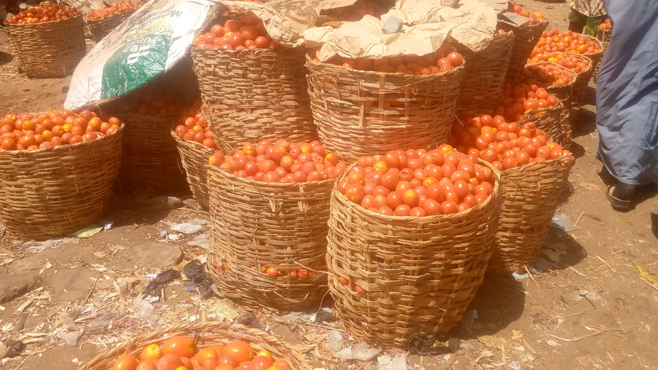 Tomates em cestos em uma feira de alimentos