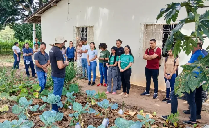 Visita técnica reúne estudantes e equipe em área de cultivo da Escola Família Agrícola de Ladeirinhas, em Japoatã (SE).