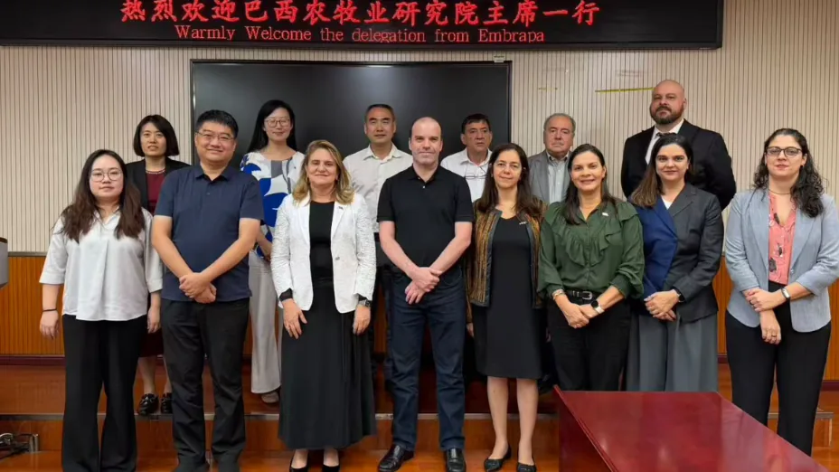 Delegações da Embrapa e de instituição chinesa reunidas durante missão em Pequim