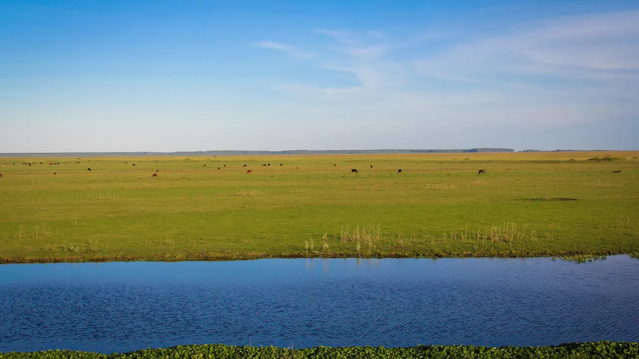Paisagem de campos e banhados do bioma Pampa no Rio Grande do Sul