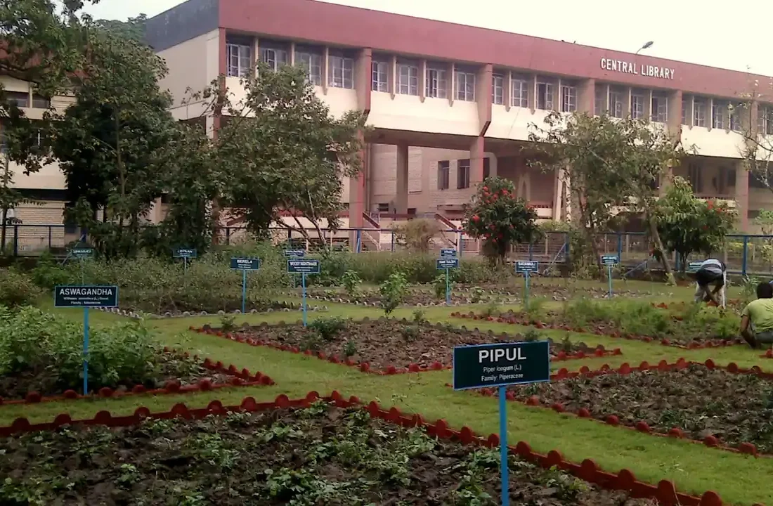 Canteiros de plantas medicinais e aromáticas em jardim de cultivo
