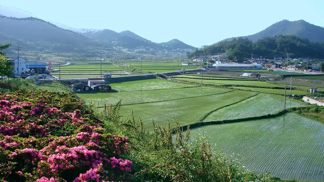 Lavoura em pequena propriedade rural, imagem contextual