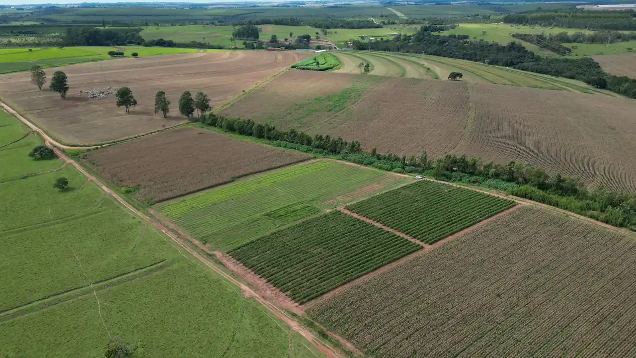 Vista de área rural cultivada em Botucatu, contexto dos serviços de preparo e conservação do solo
