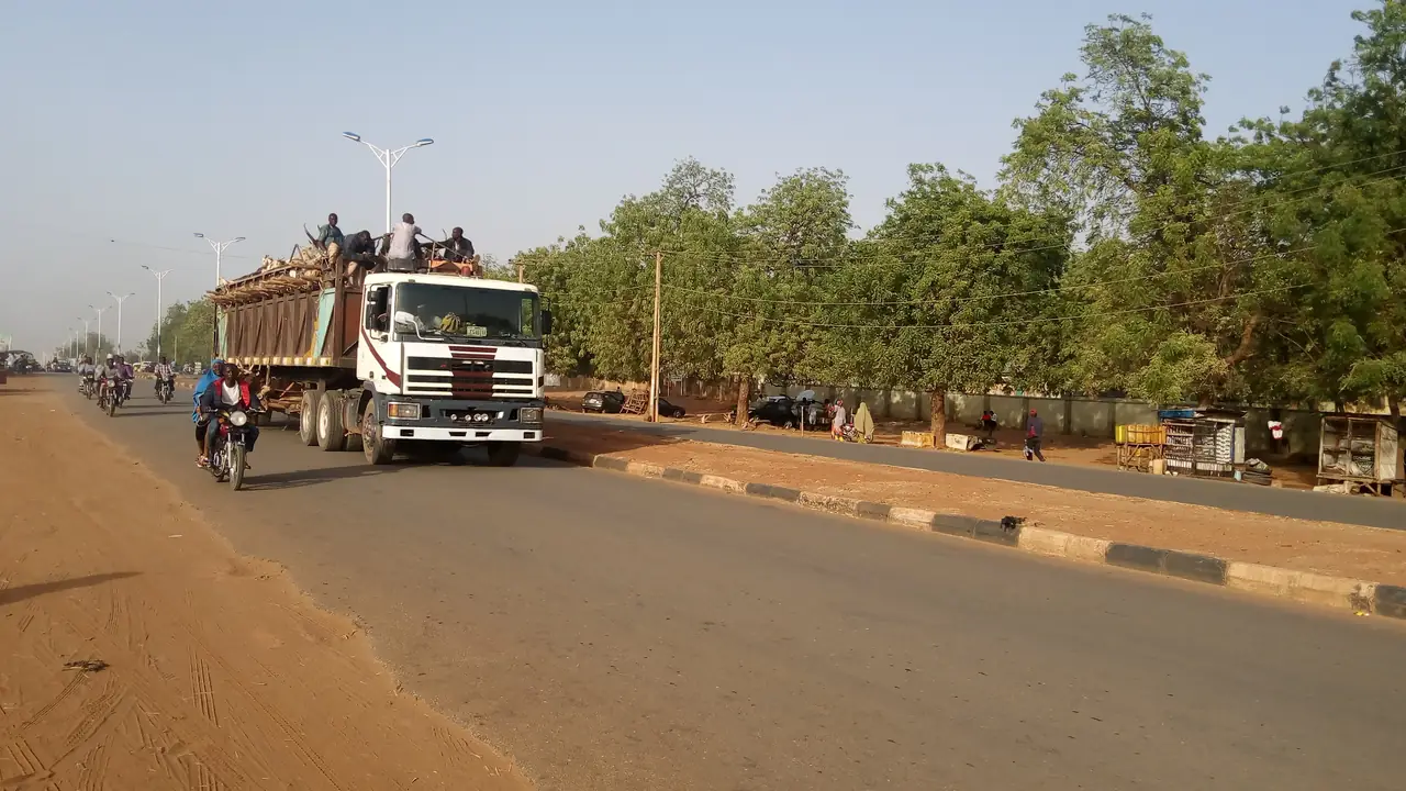 Transporte rodoviário de bovinos em imagem de arquivo