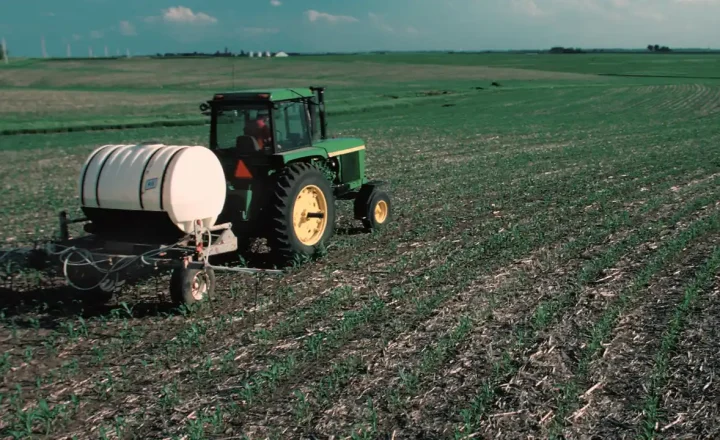 Trator aplica fertilizante em uma lavoura de milho