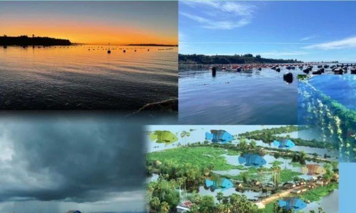 Montagem com sistemas de aquicultura em água, céu carregado e peixes, usada para ilustrar a adaptação climática
