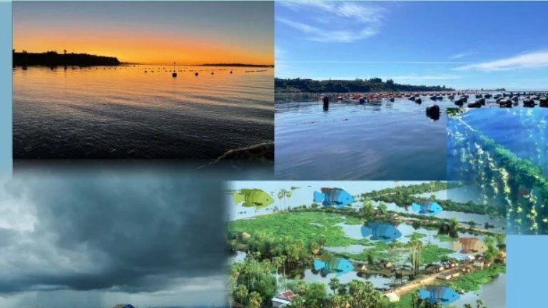 Montagem com sistemas de aquicultura em água, céu carregado e peixes, usada para ilustrar a adaptação climática