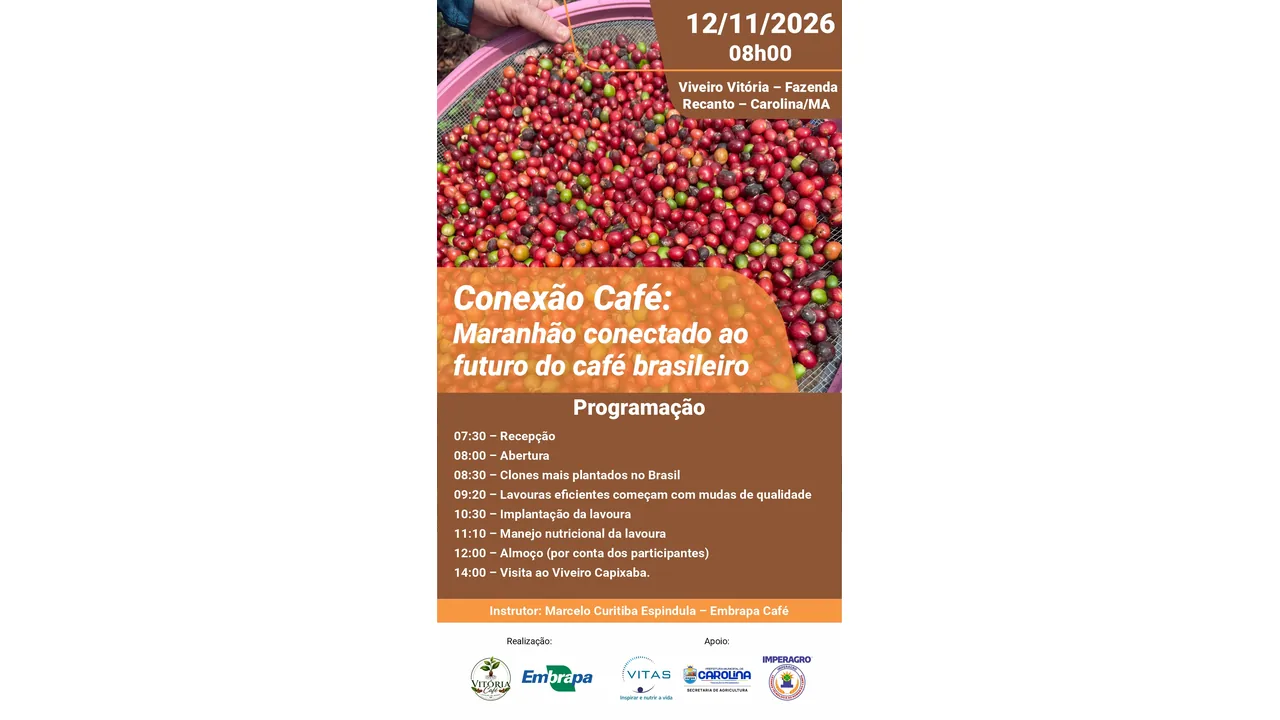 Cartaz do Conexão Café sobre cultivo de café canéfora em Carolina, no Maranhão