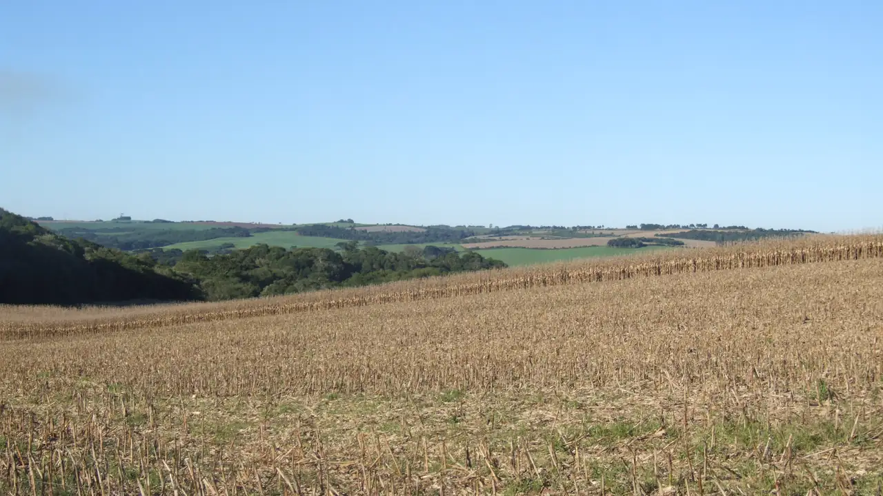 Lavoura em Campos Novos, Santa Catarina, com áreas cultivadas e mata ao fundo
