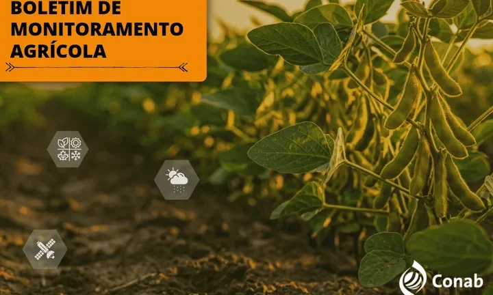 Boletim de Monitoramento Agrícola da Conab sobre safras de verão e inverno