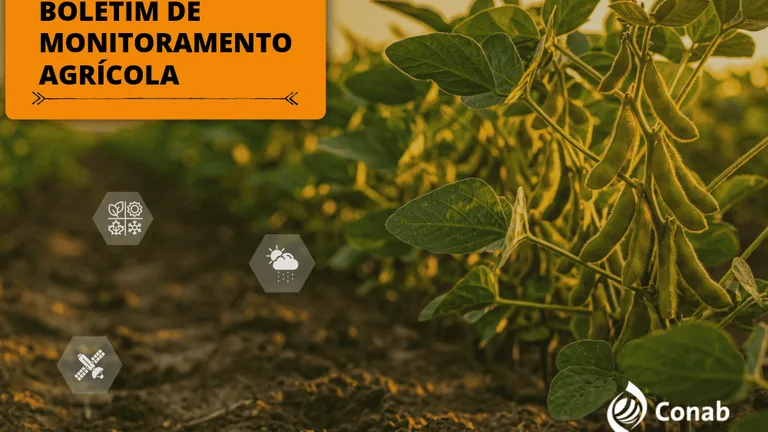 Boletim de Monitoramento Agrícola da Conab sobre safras de verão e inverno