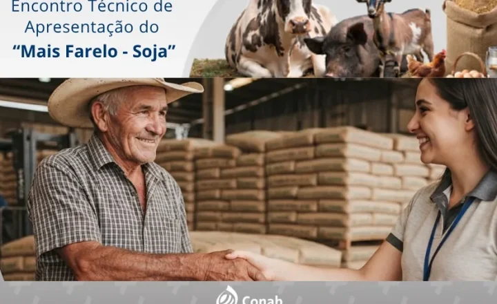 Arte da Conab sobre o programa Mais Farelo-Soja, com criador, sacos de insumos e animais