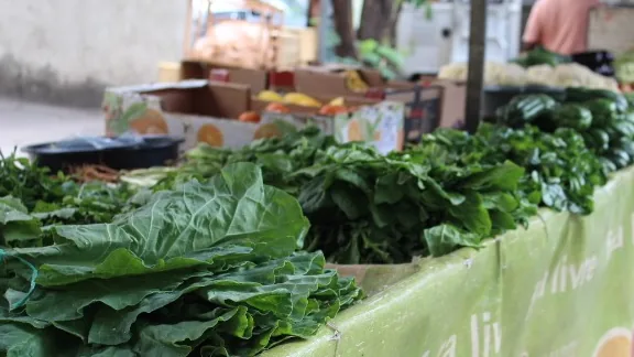 Hortaliças expostas em feira de agricultura urbana de Belo Horizonte