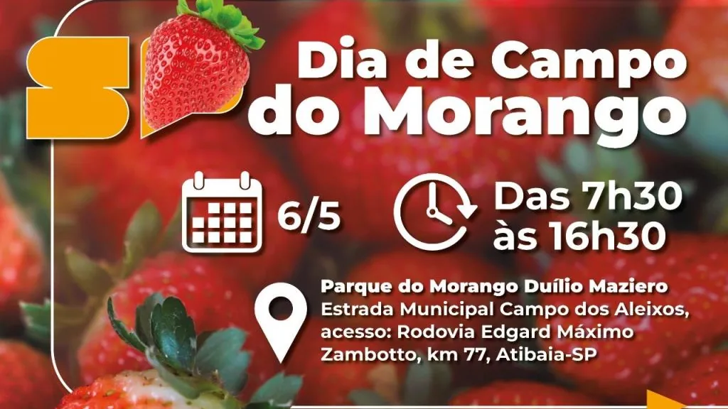 Divulgação de dia de campo sobre manejo do morango em Atibaia