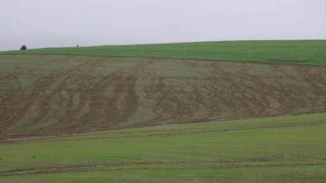 Erosão laminar do solo em área agrícola, imagem do banco da Embrapa.