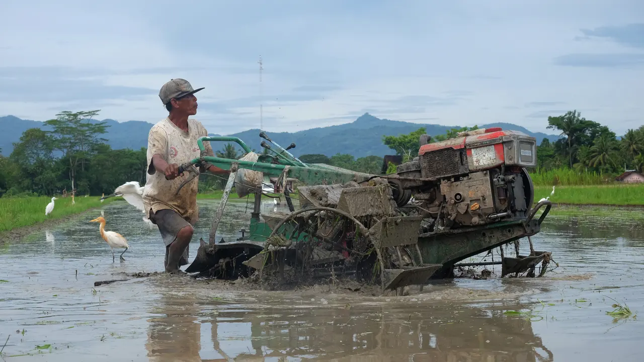 Agricultor conduz trator em área de cultivo